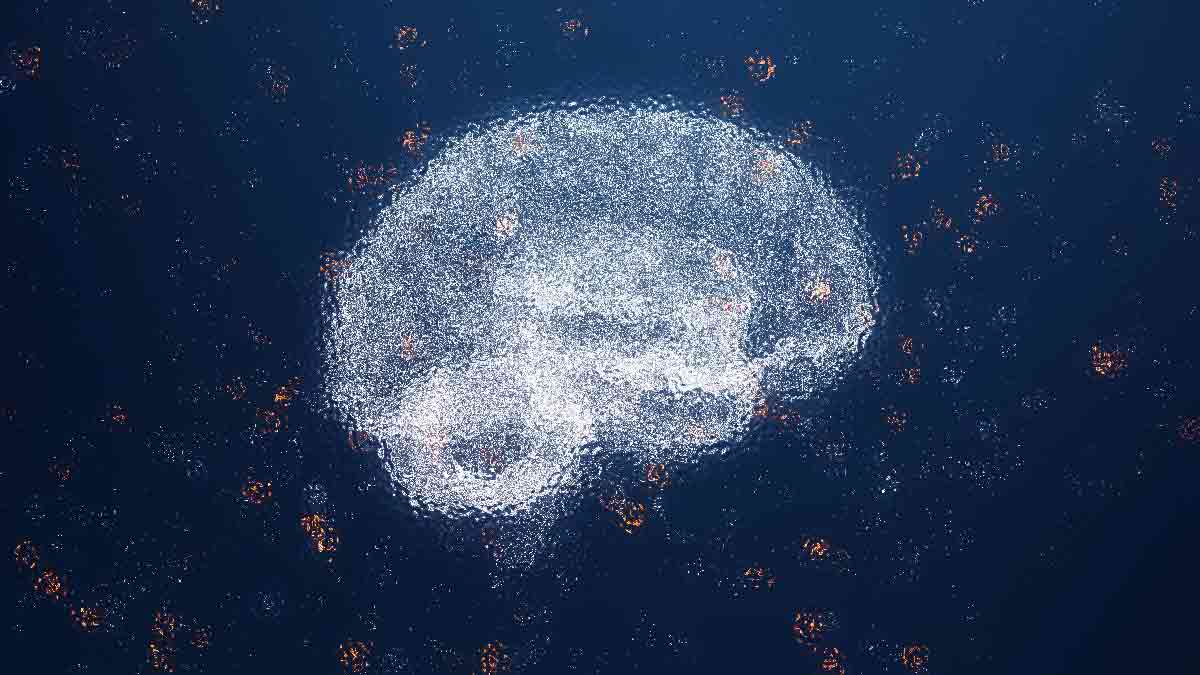 Astronomers Find Shell Structures in Milky Way Galaxy